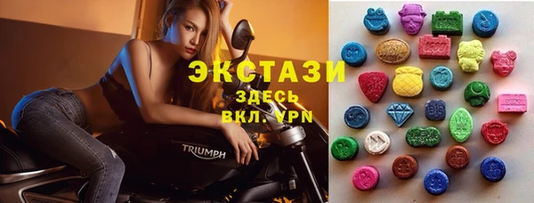 ешки Новозыбков