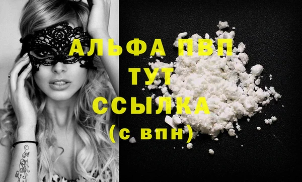 ешки Новозыбков