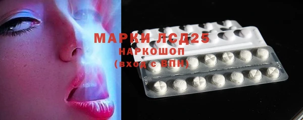 ешки Новозыбков