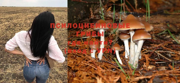бутират Новодвинск