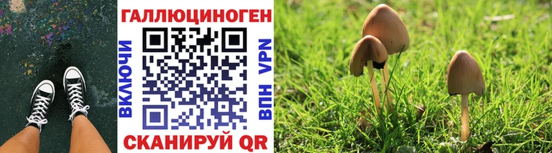 Галлюциногенные грибы GOLDEN TEACHER  Купить где  Краснокаменск 